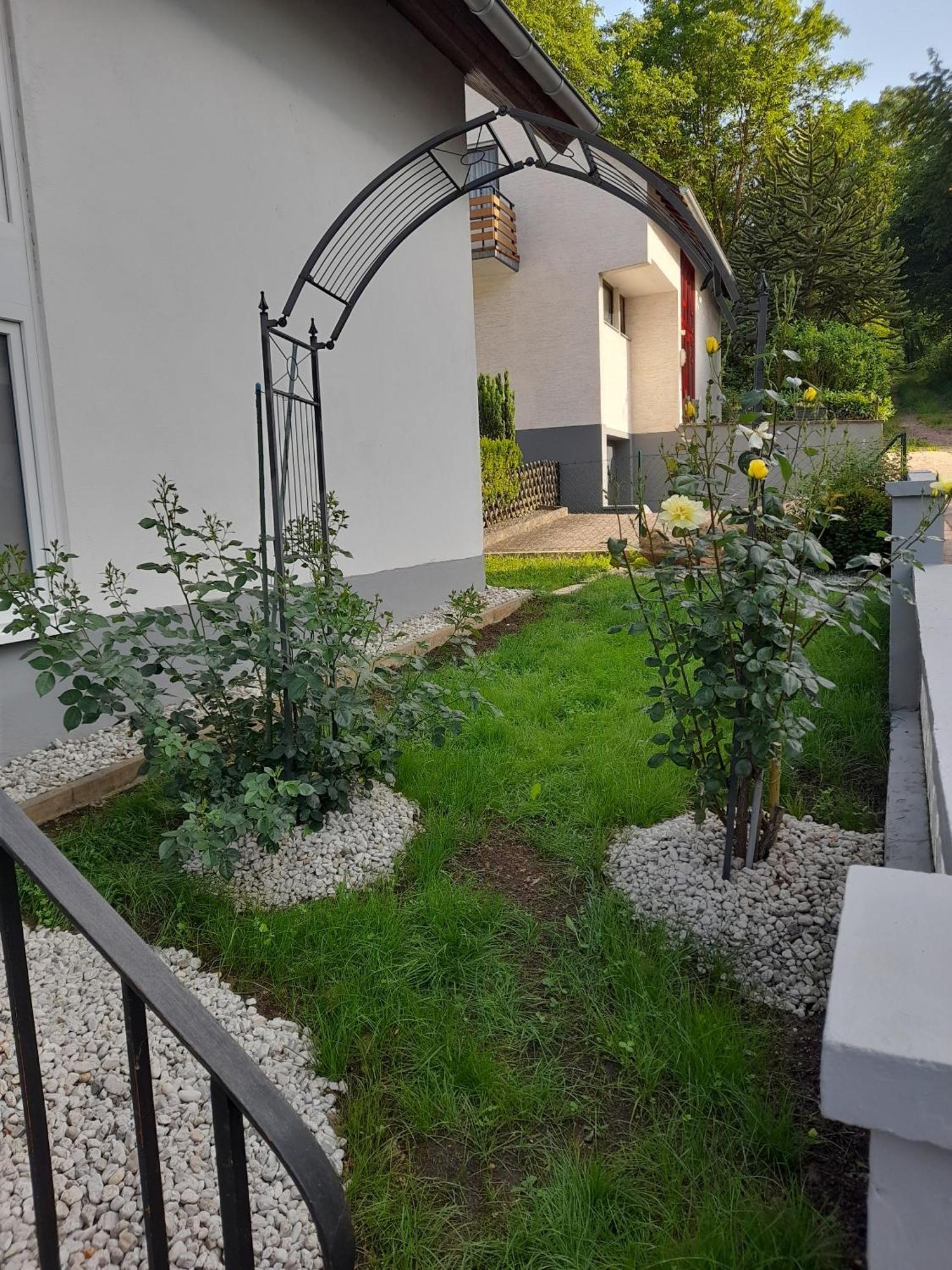 Gaestezimmer Bernkastel - Gaestehaus Barbara Dış mekan fotoğraf